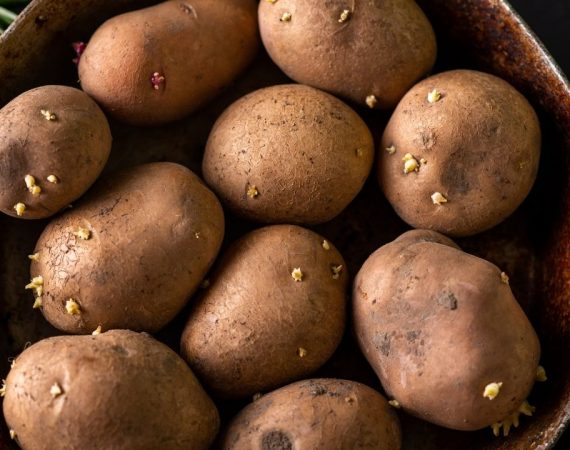 Le patate germogliate si possono mangiare?